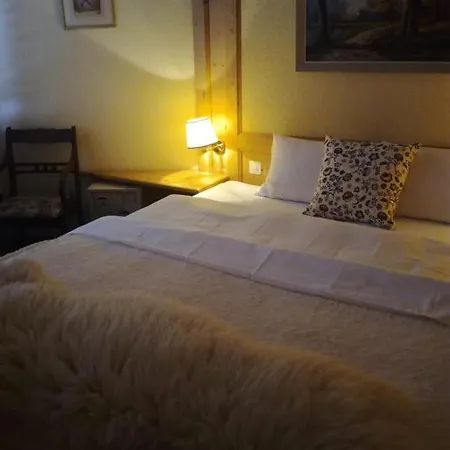Otel Touristen-chalet 3*