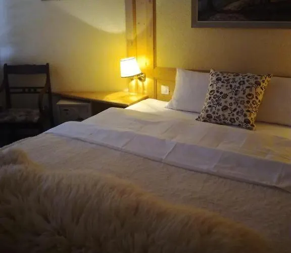 Hotel Touristen-chalet 3*