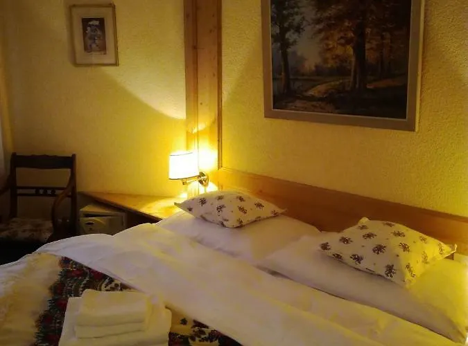 Hotel Touristen-chalet 3*