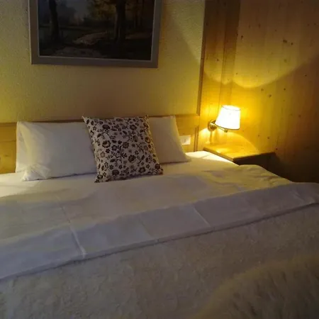 Touristen-chalet 3* 로이커바드