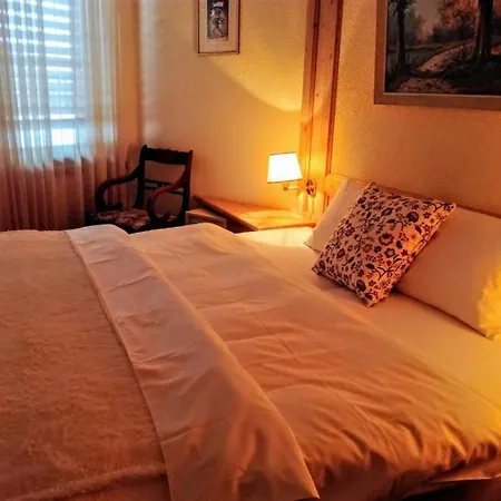 Touristen-chalet 로이커바드