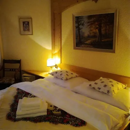 ホテル Touristen-chalet 3*